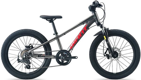 Xe đạp trẻ em Giant XTC 20-D 2024***